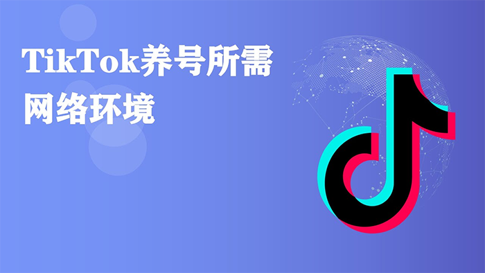 tiktok養(yǎng)號節(jié)點(diǎn)要什么條件，多少錢